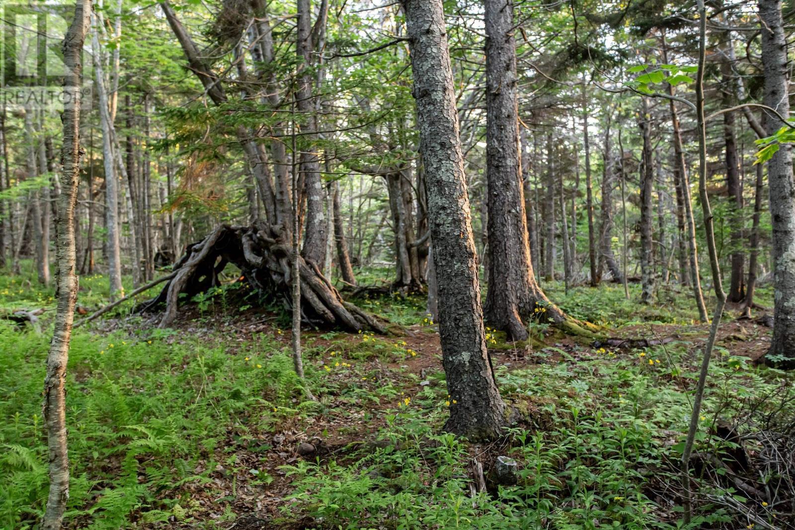 6671 Shore Road W, Youngs Cove, Nova Scotia  B0S 1L0 - Photo 15 - 202615755