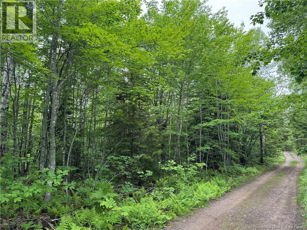 lot Mahoney Road, Sackville, New Brunswick