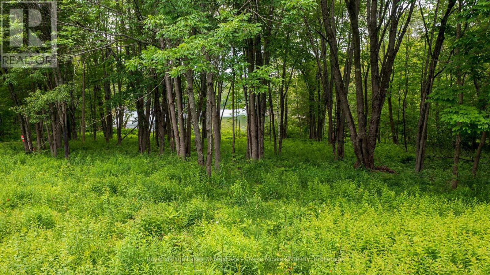 0 Maplehurst Road, Seguin, Ontario  P0C 1J0 - Photo 7 - X13494110