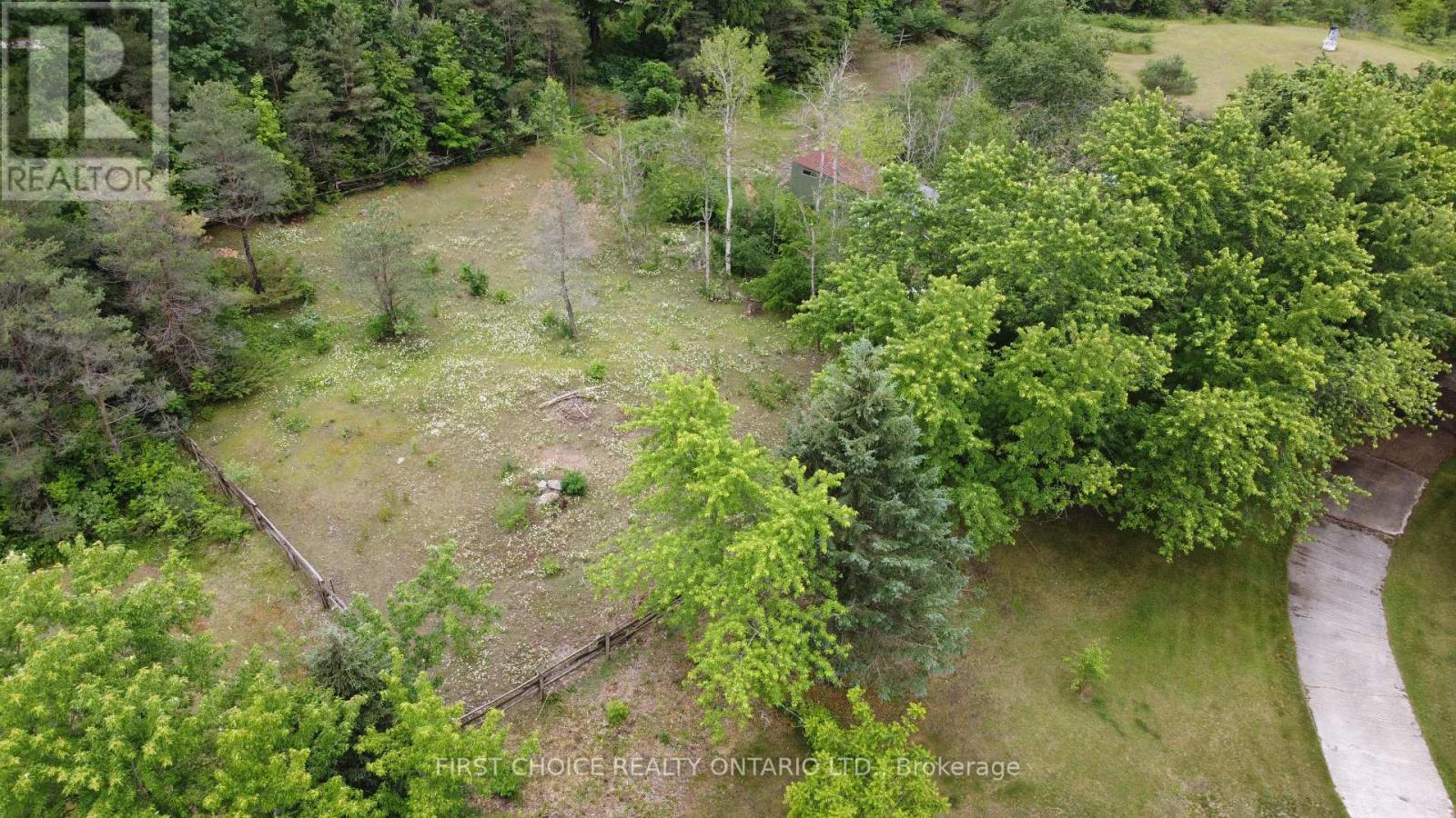 1890 Concession Rd 7 Concession, Adjala-Tosorontio, Ontario  L0G 1W0 - Photo 28 - N13491358