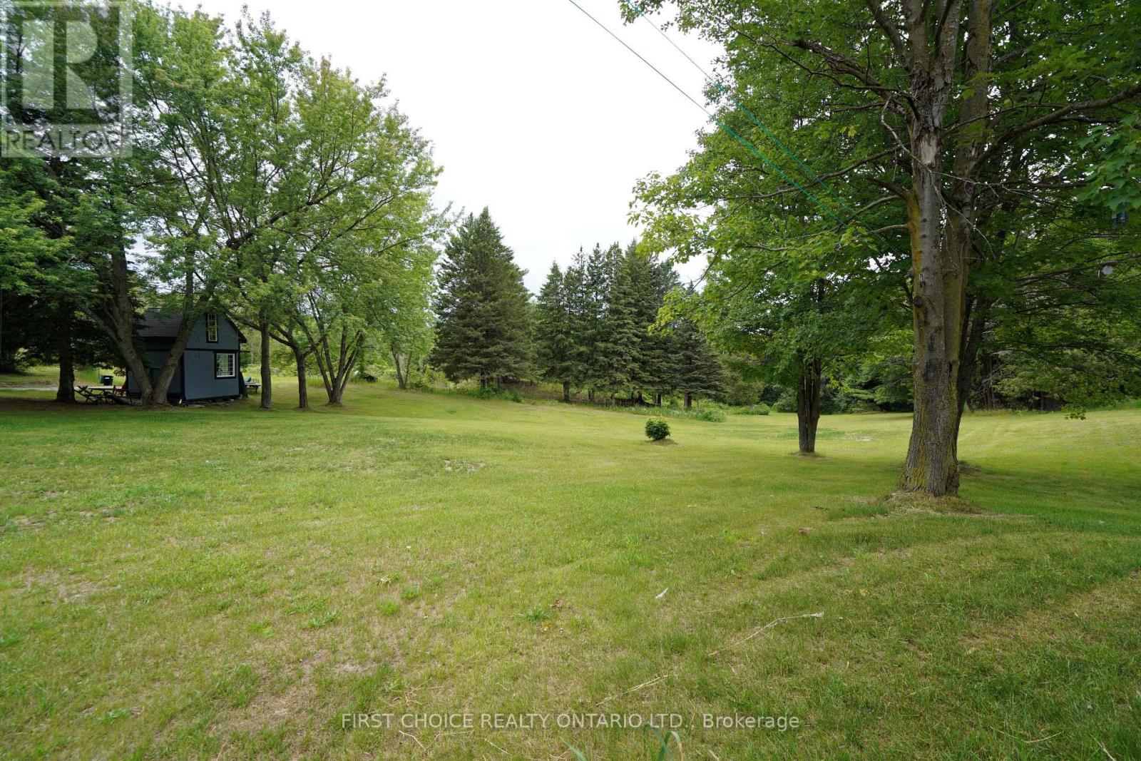 1890 Concession Rd 7 Concession, Adjala-Tosorontio, Ontario  L0G 1W0 - Photo 22 - N13491358