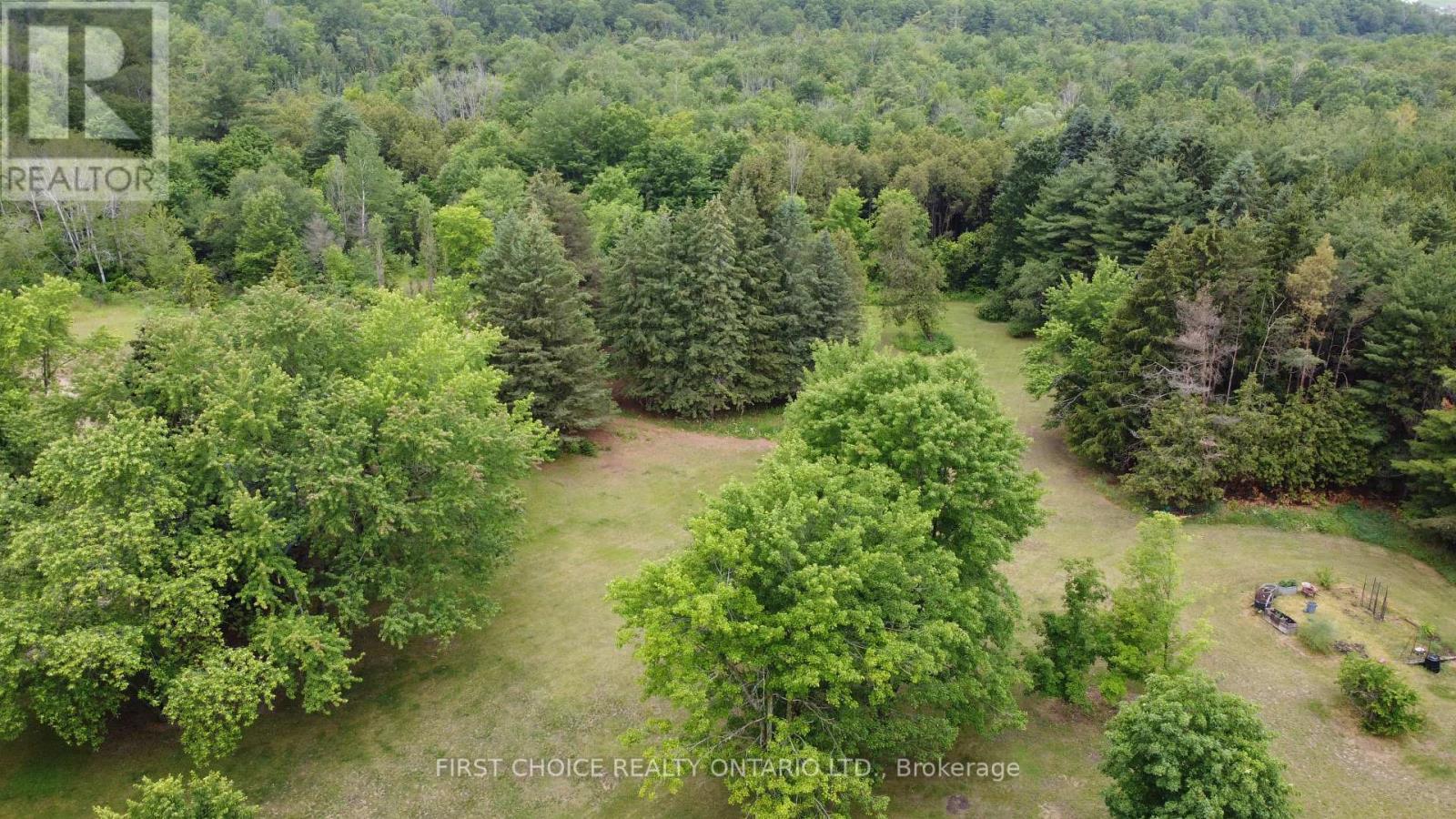 1890 Concession Rd 7 Concession, Adjala-Tosorontio, Ontario  L0G 1W0 - Photo 26 - N13491358