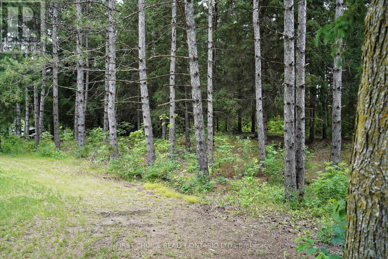 1890 Concession Rd 7 Concession, Adjala-Tosorontio, Ontario  L0G 1W0 - Photo 3 - N13491358