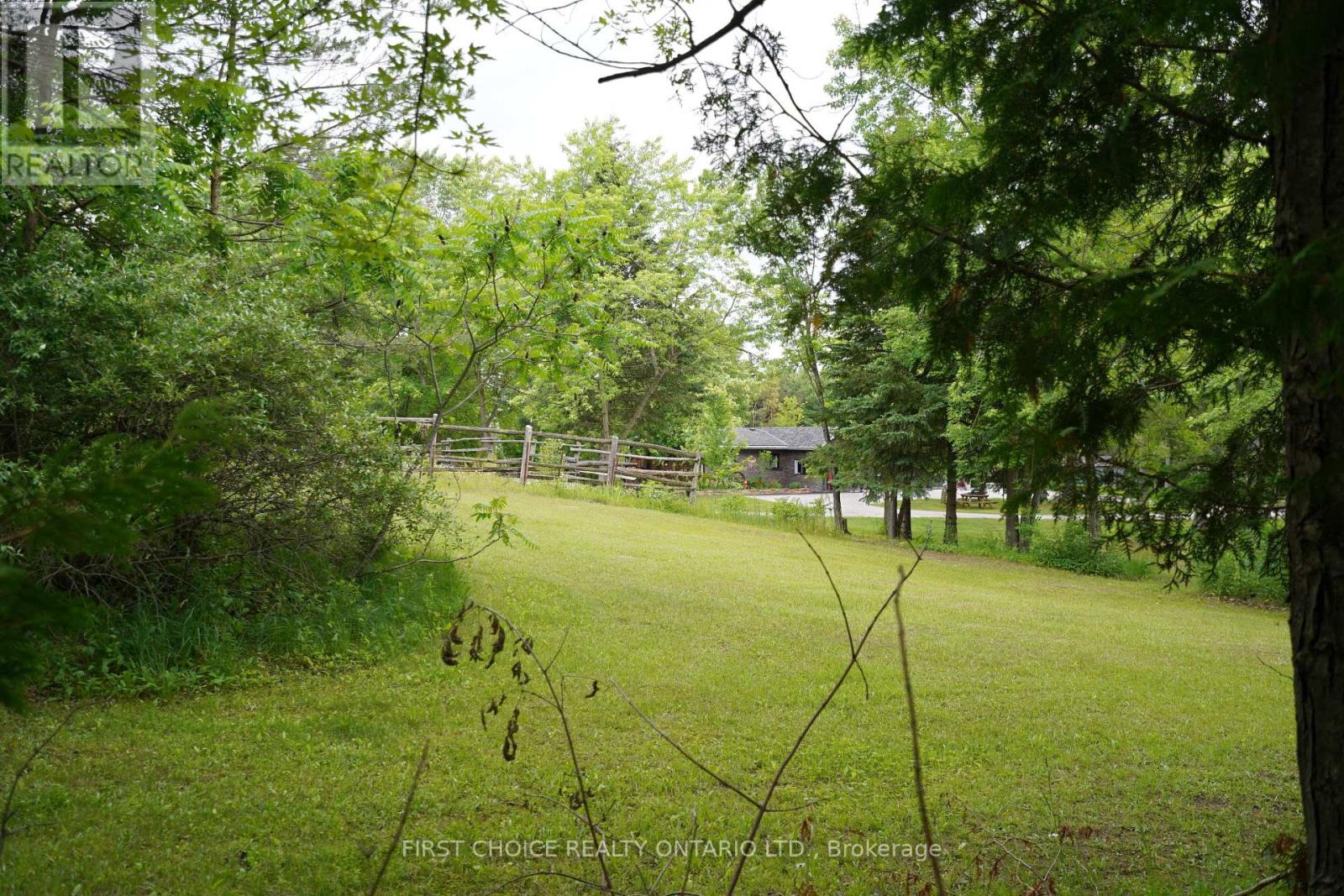 1890 Concession Rd 7 Concession, Adjala-Tosorontio, Ontario  L0G 1W0 - Photo 23 - N13491358