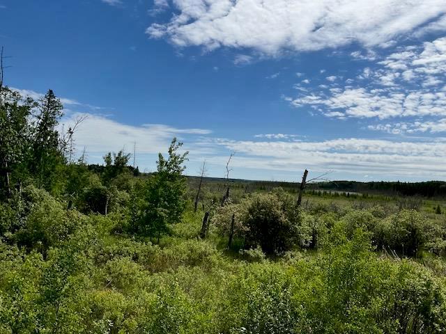 235 Pth 10 Highway, Onanole, Manitoba  R0J 1N0 - Photo 3 - 202615030