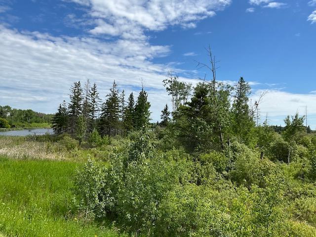 235 Pth 10 Highway, Onanole, Manitoba  R0J 1N0 - Photo 4 - 202615030