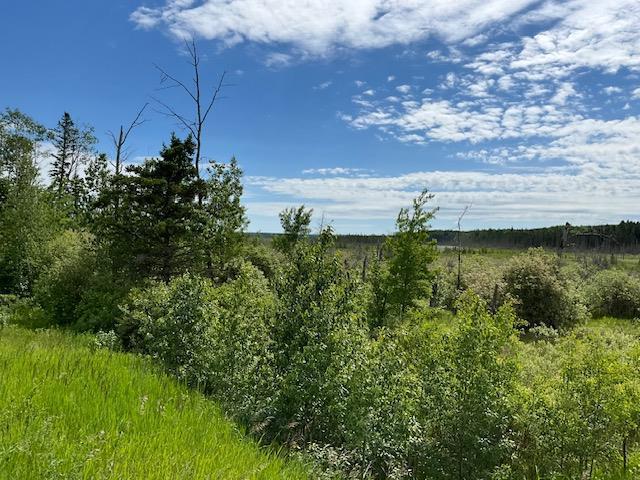 235 Pth 10 Highway, Onanole, Manitoba  R0J 1N0 - Photo 5 - 202615030