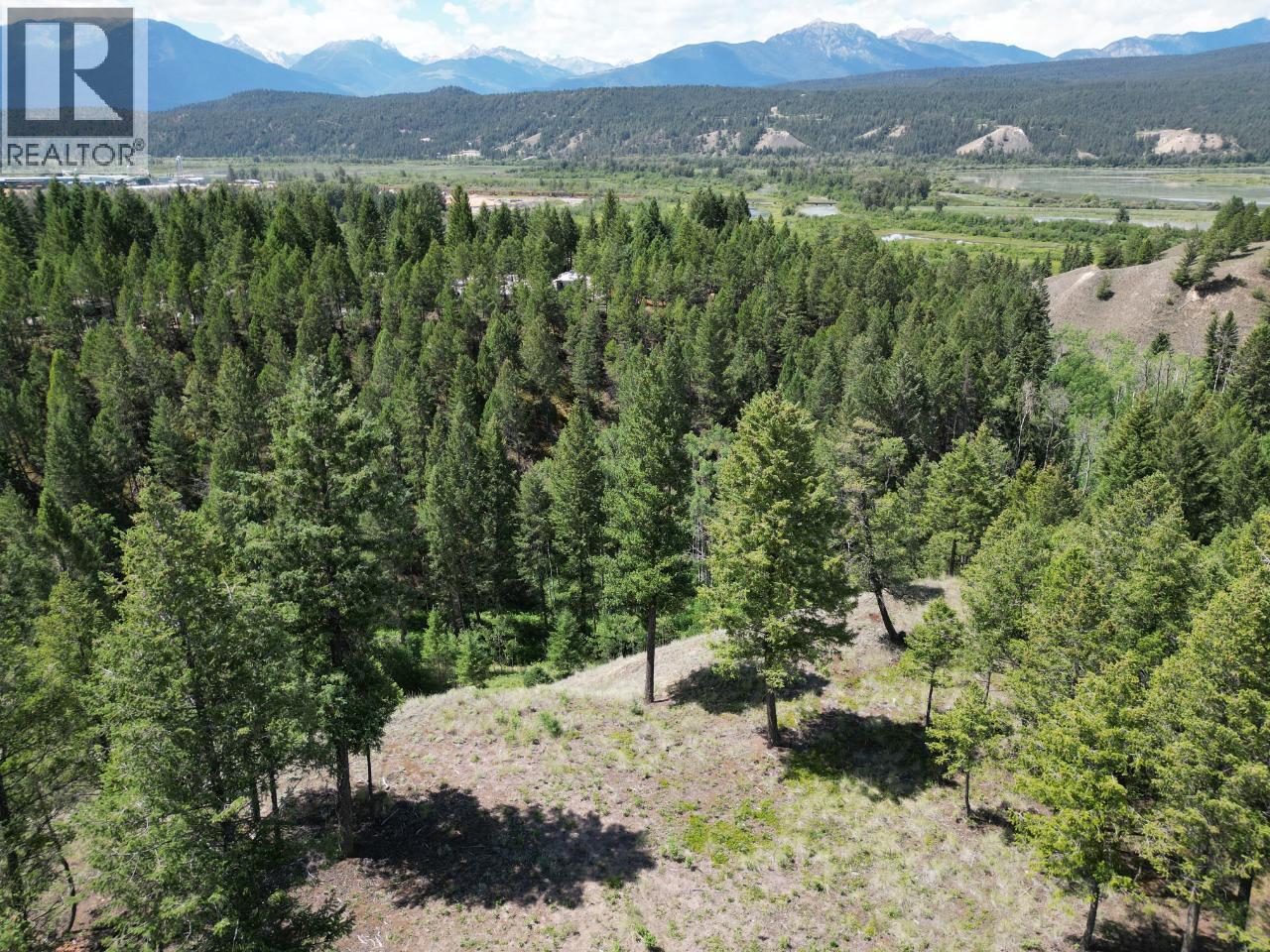 Lot 12 Saddlewood Lane, Radium Hot Springs, British Columbia  V0A 1M0 - Photo 2 - 10392884