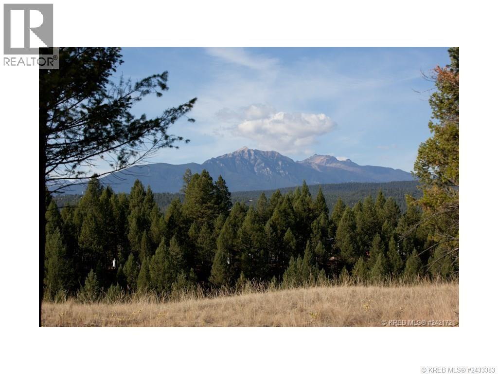 Lot 11 Saddlewood Lane, Radium Hot Springs, British Columbia  V0A 1M0 - Photo 11 - 10392882