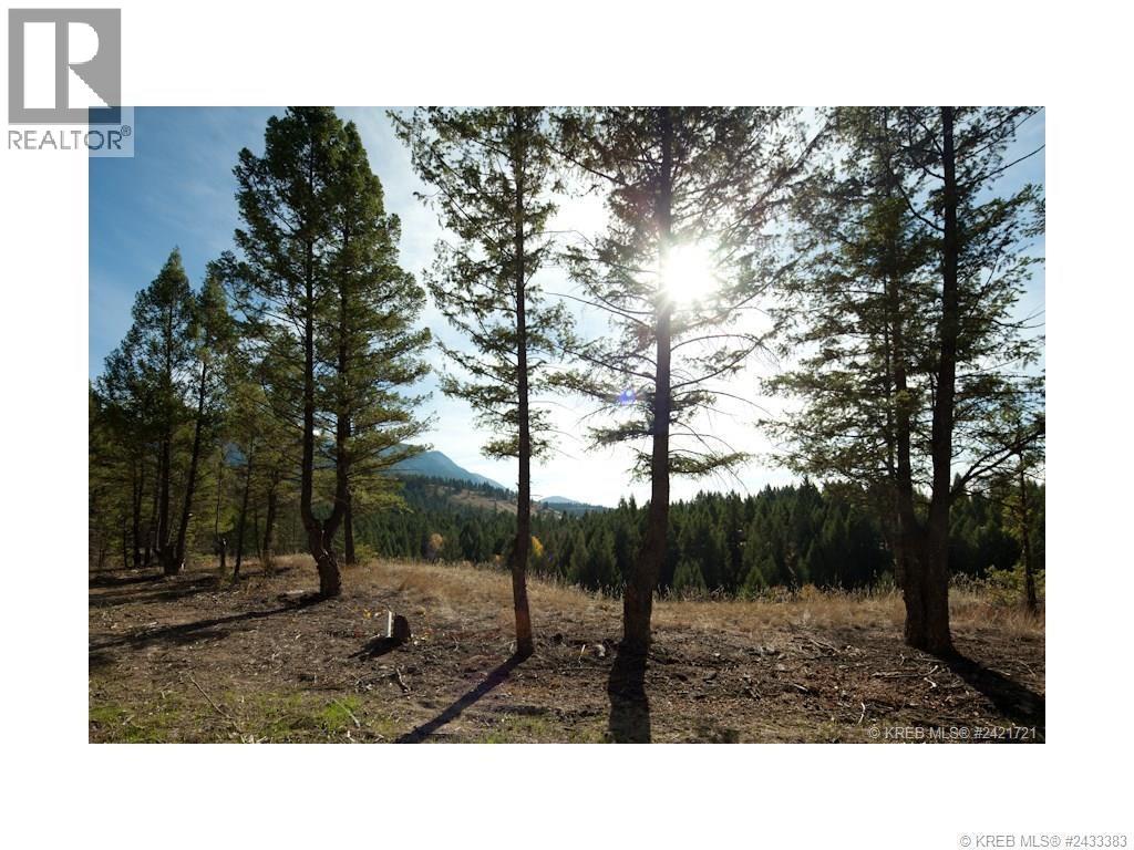 Lot 11 Saddlewood Lane, Radium Hot Springs, British Columbia  V0A 1M0 - Photo 17 - 10392882