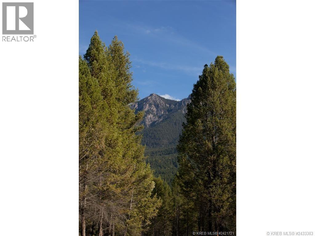 Lot 10 Saddlewood Lane, Radium Hot Springs, British Columbia  V0A 1M0 - Photo 4 - 10392881