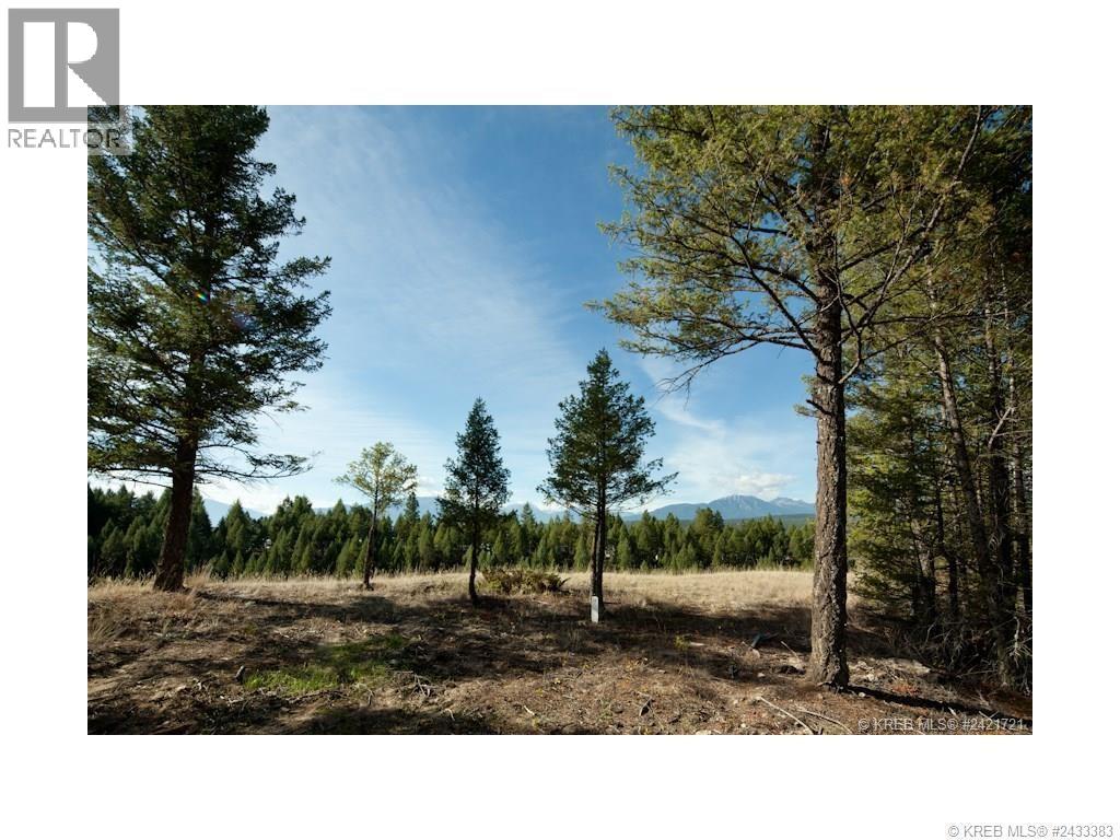 Lot 10 Saddlewood Lane, Radium Hot Springs, British Columbia  V0A 1M0 - Photo 8 - 10392881