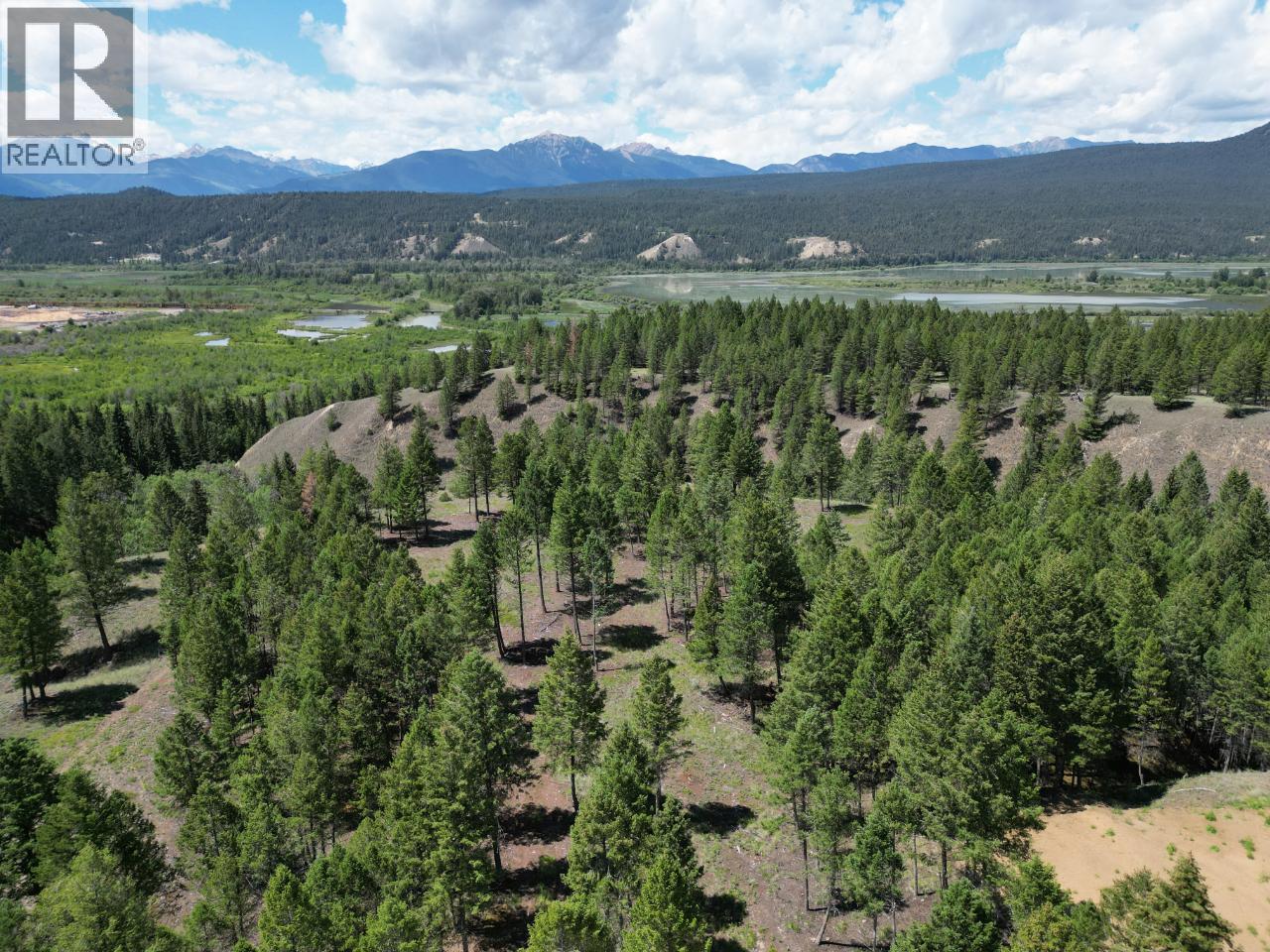 Lot 18 Saddlewood Lane, Radium Hot Springs, British Columbia  V0A 1M0 - Photo 18 - 10392879