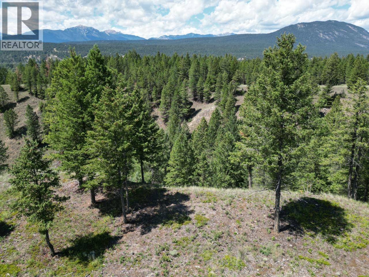 Lot 18 Saddlewood Lane, Radium Hot Springs, British Columbia  V0A 1M0 - Photo 21 - 10392879