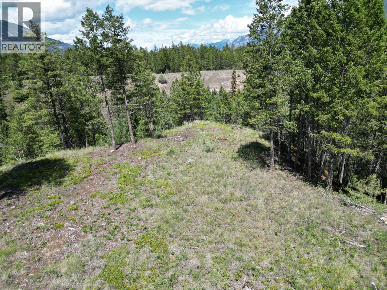 Lot 18 Saddlewood Lane, Radium Hot Springs, British Columbia  V0A 1M0 - Photo 25 - 10392879