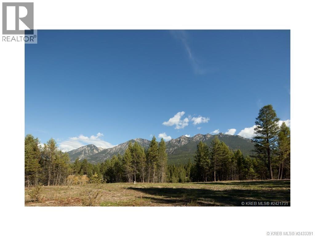 Lot 18 Saddlewood Lane, Radium Hot Springs, British Columbia  V0A 1M0 - Photo 8 - 10392879