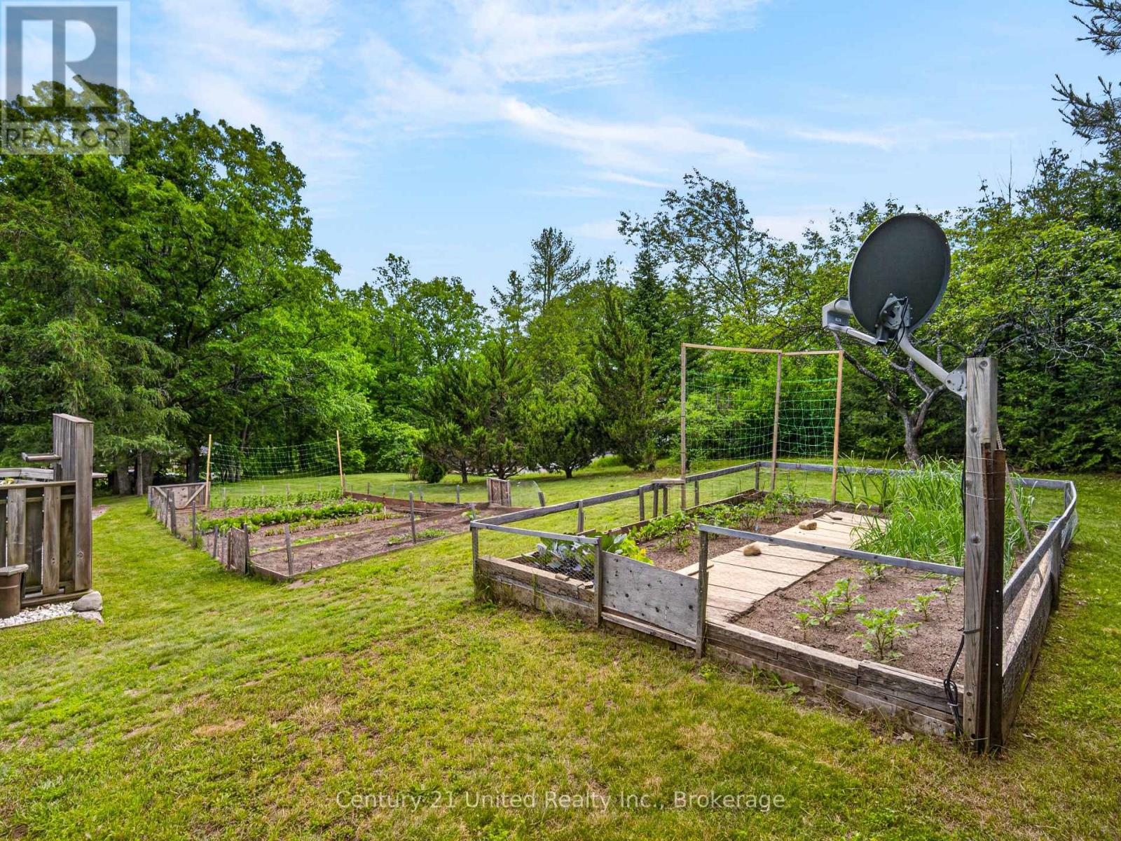 3034 Clear Lake Road, Selwyn, Ontario  K0L 2H0 - Photo 35 - X13494502