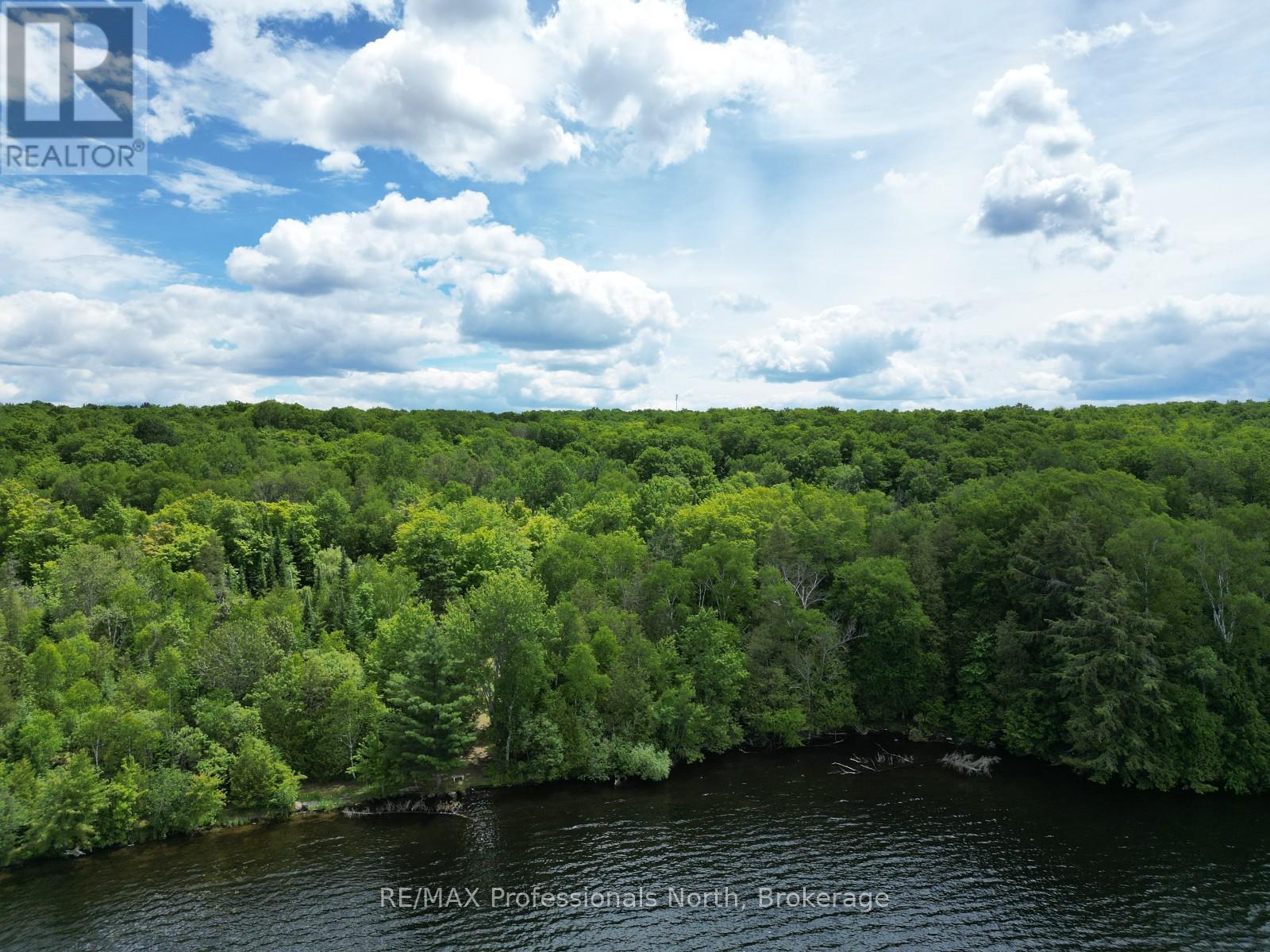 2397 Kashagawigamog Lake Road, Minden Hills, Ontario  K0M 2K0 - Photo 2 - X13494732