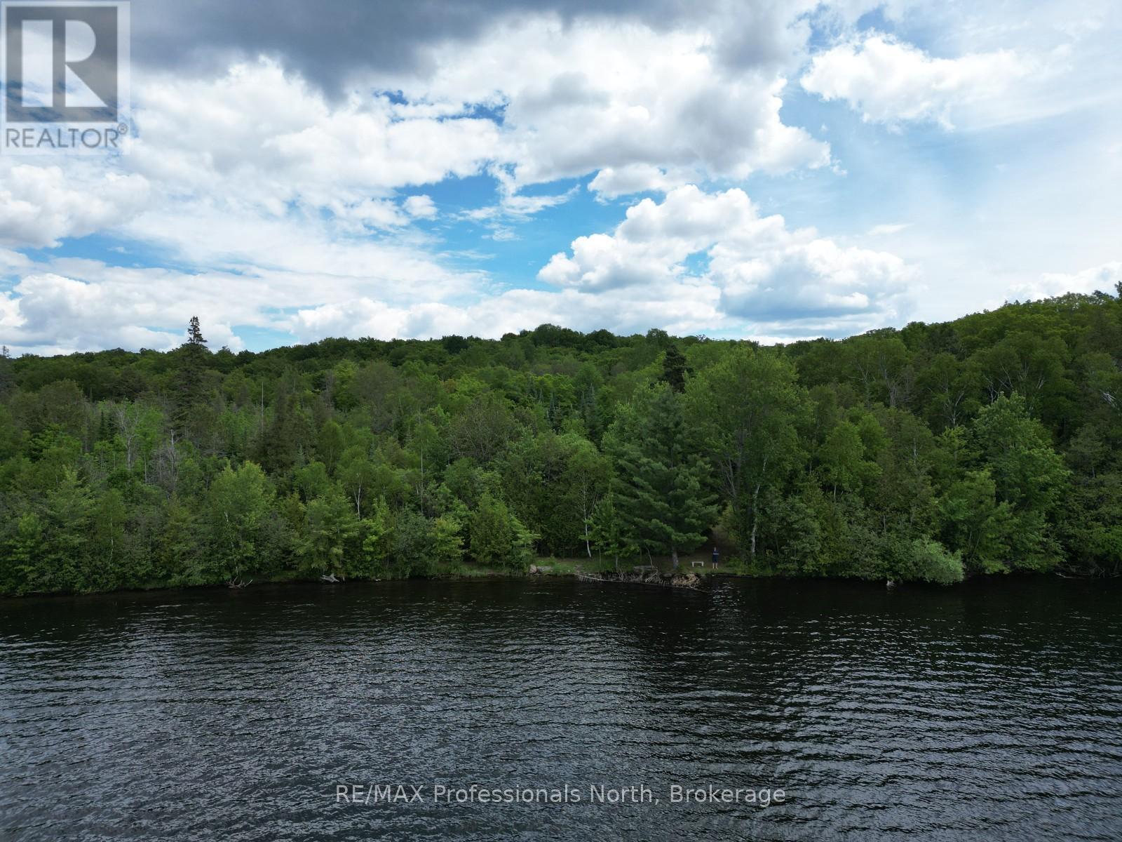 2397 Kashagawigamog Lake Road, Minden Hills, Ontario  K0M 2K0 - Photo 32 - X13494732