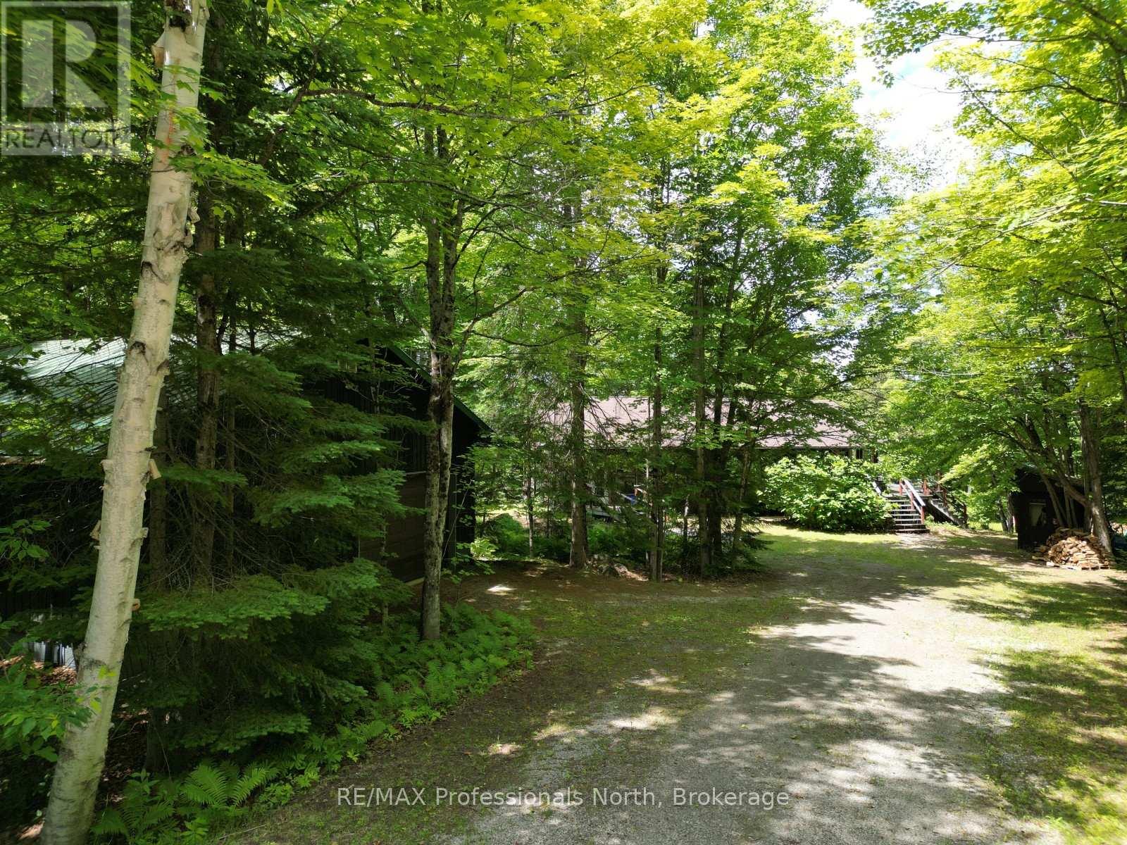 2397 Kashagawigamog Lake Road, Minden Hills, Ontario  K0M 2K0 - Photo 4 - X13494732