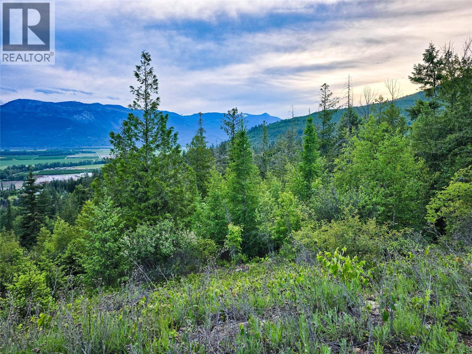 Dl 4595 Elsie Holmes Road, Wynndel, British Columbia  V0B 2N1 - Photo 19 - 10392525