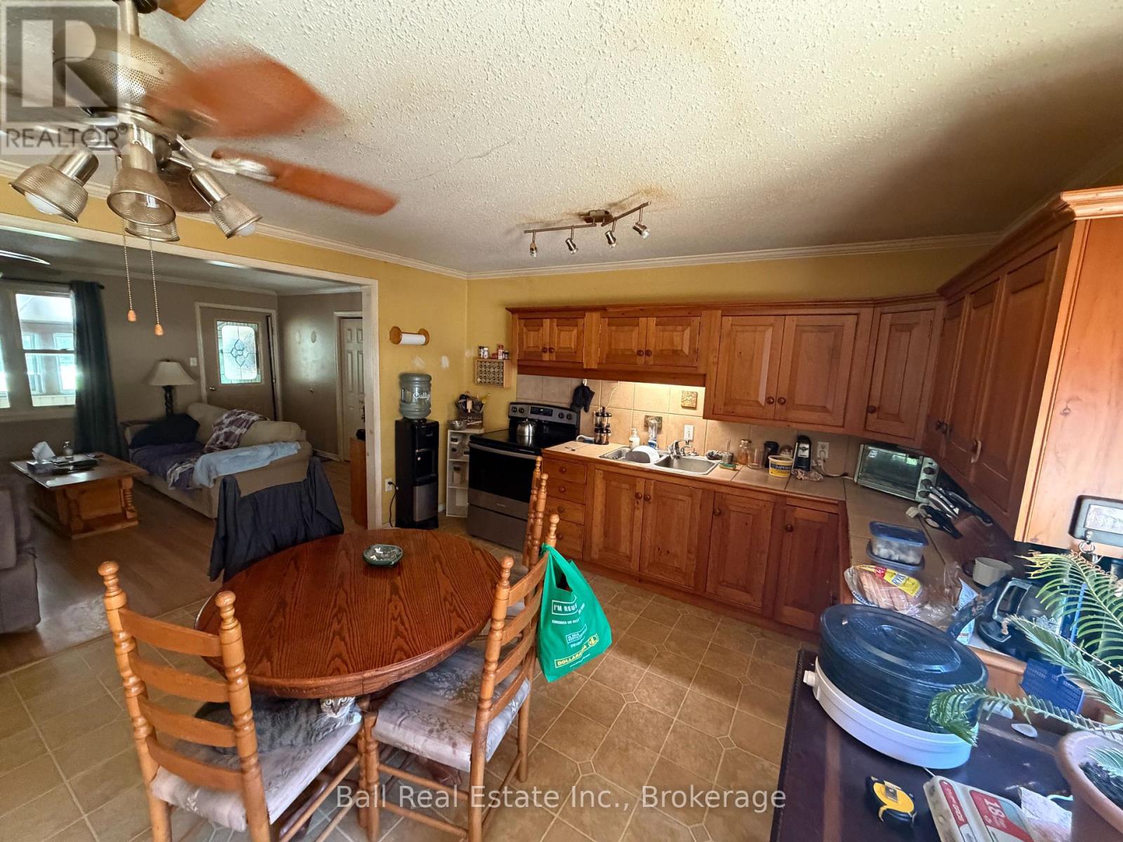 51 Cameron Road, Kawartha Lakes, Ontario  K0M 2L0 - Photo 4 - X13494252