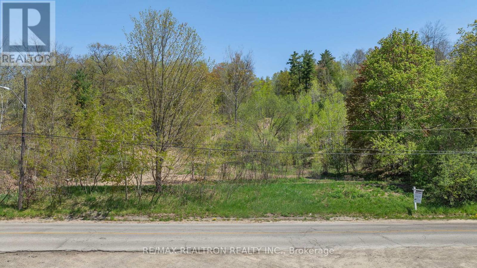 22 Main Street N, Halton Hills, Ontario  L7G 3G8 - Photo 4 - W12731320