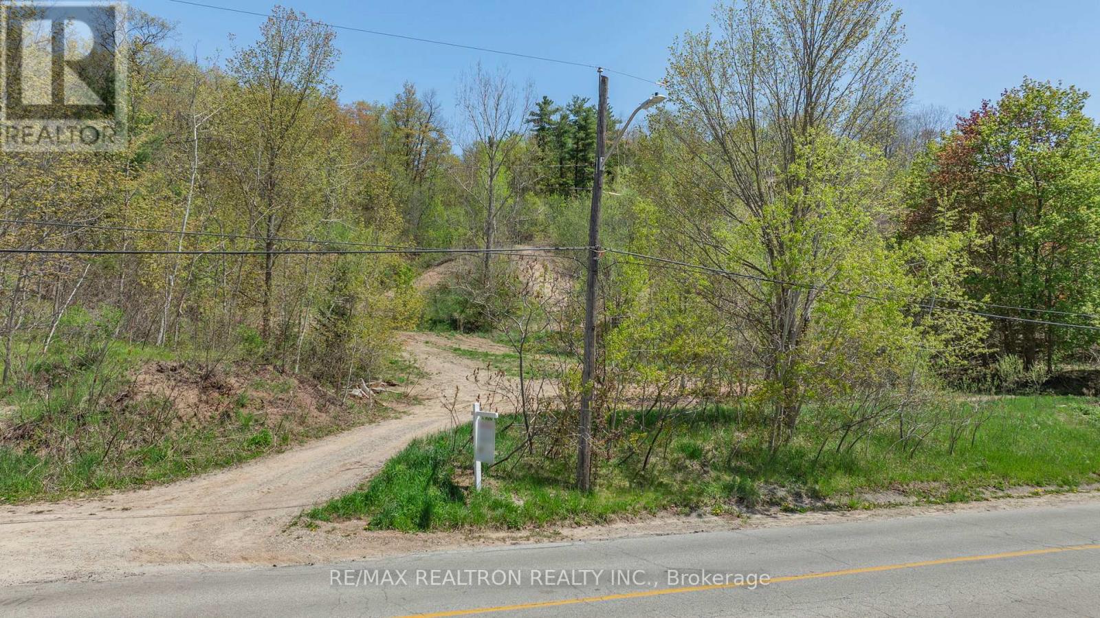 22 Main Street N, Halton Hills, Ontario  L7G 3G8 - Photo 3 - W12731320