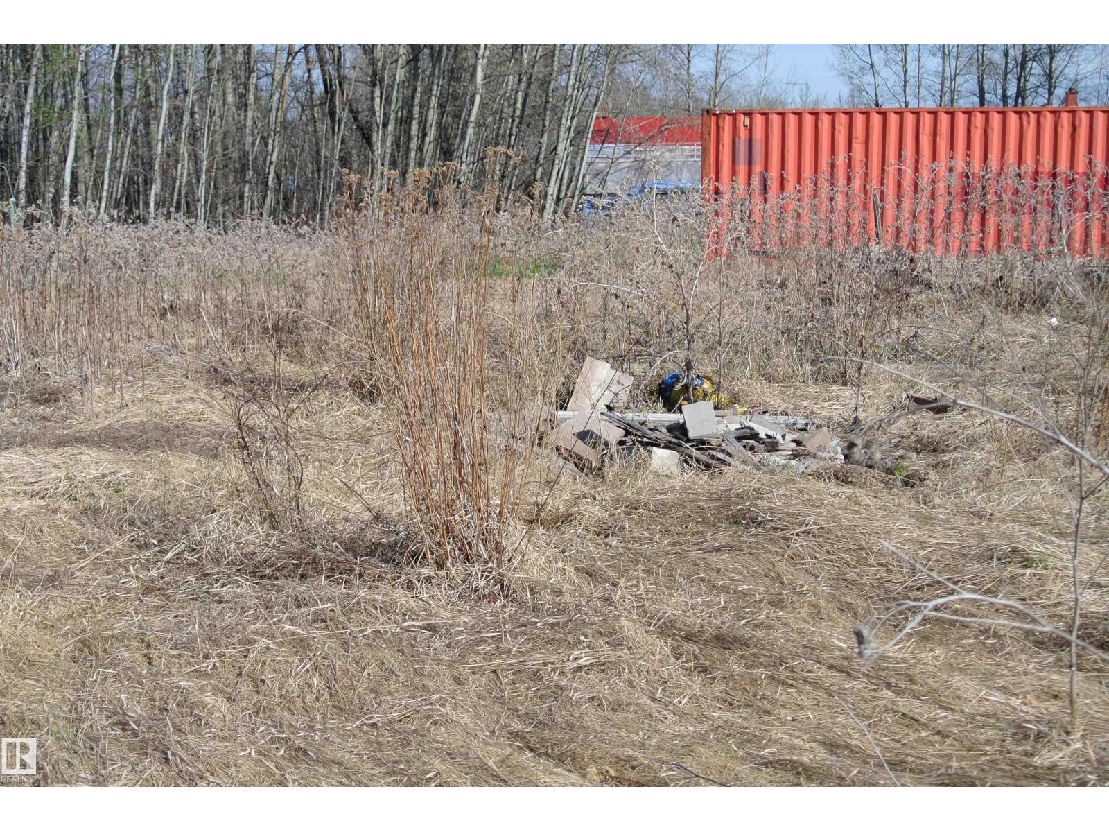 5012 50a St, Wildwood, Alberta  T0E 2M0 - Photo 4 - E4486373