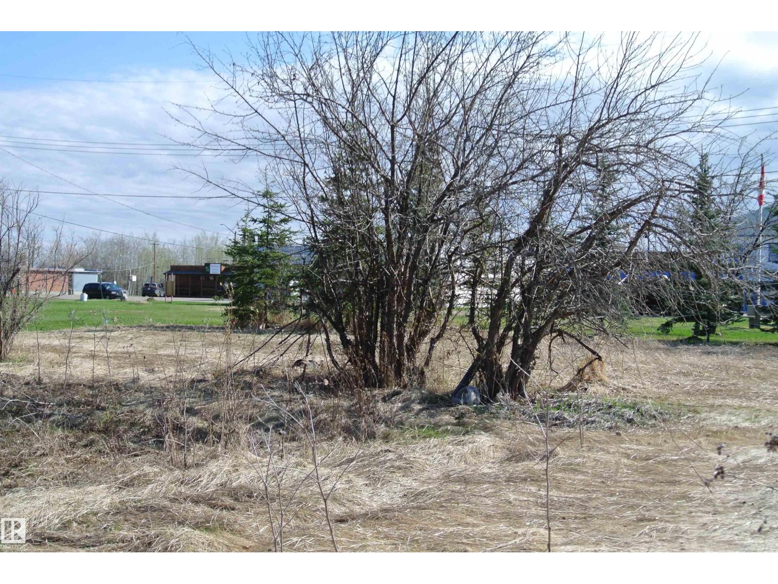 5012 50a St, Wildwood, Alberta  T0E 2M0 - Photo 6 - E4486373