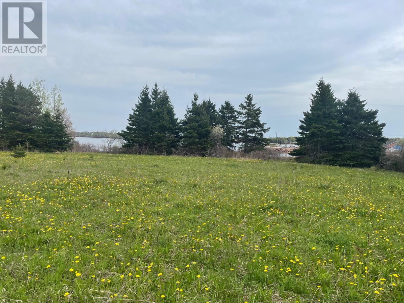 Acreage Macauleys Wharf Road, Mount Buchanan, Prince Edward Island  C0A 1A0 - Photo 5 - 202615827