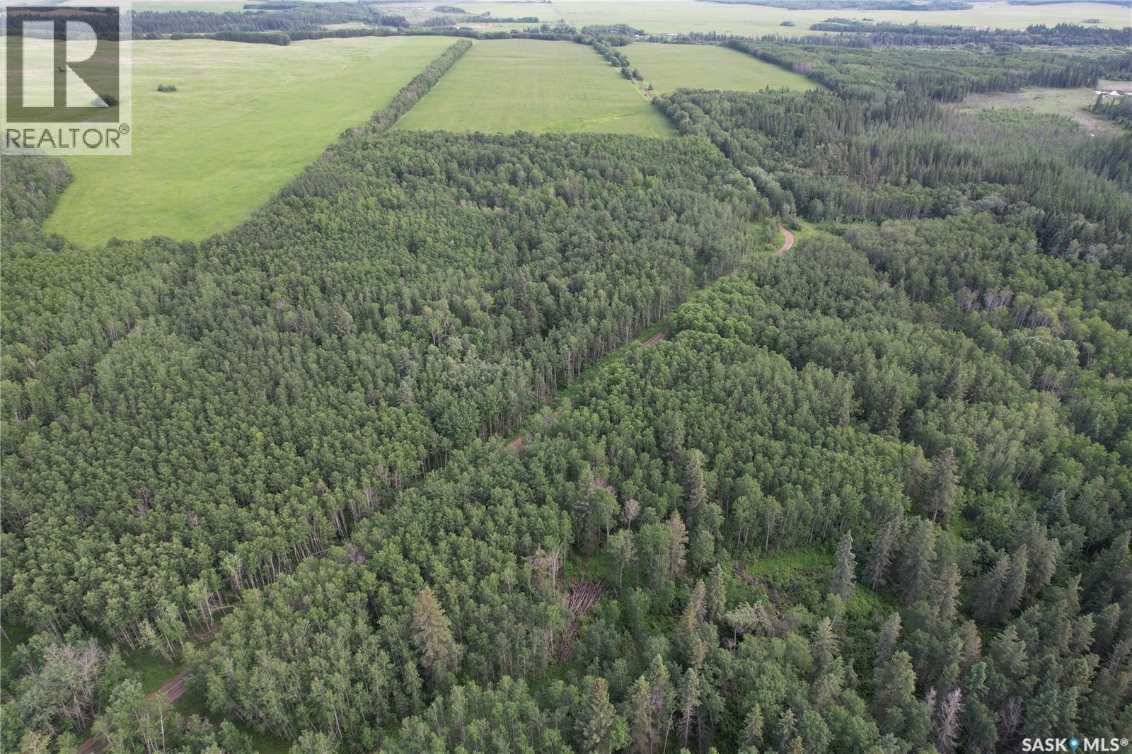 Canwood Rm Land, Canwood Rm No. 494, Saskatchewan  S0J 0K0 - Photo 10 - SK040493