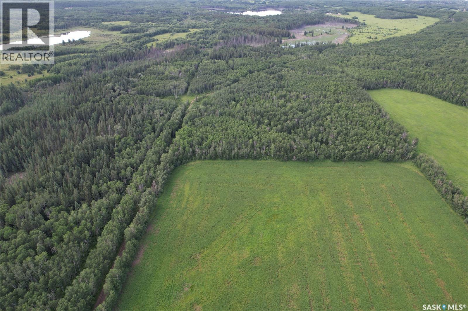 Canwood Rm Land, Canwood Rm No. 494, Saskatchewan  S0J 0K0 - Photo 17 - SK040493