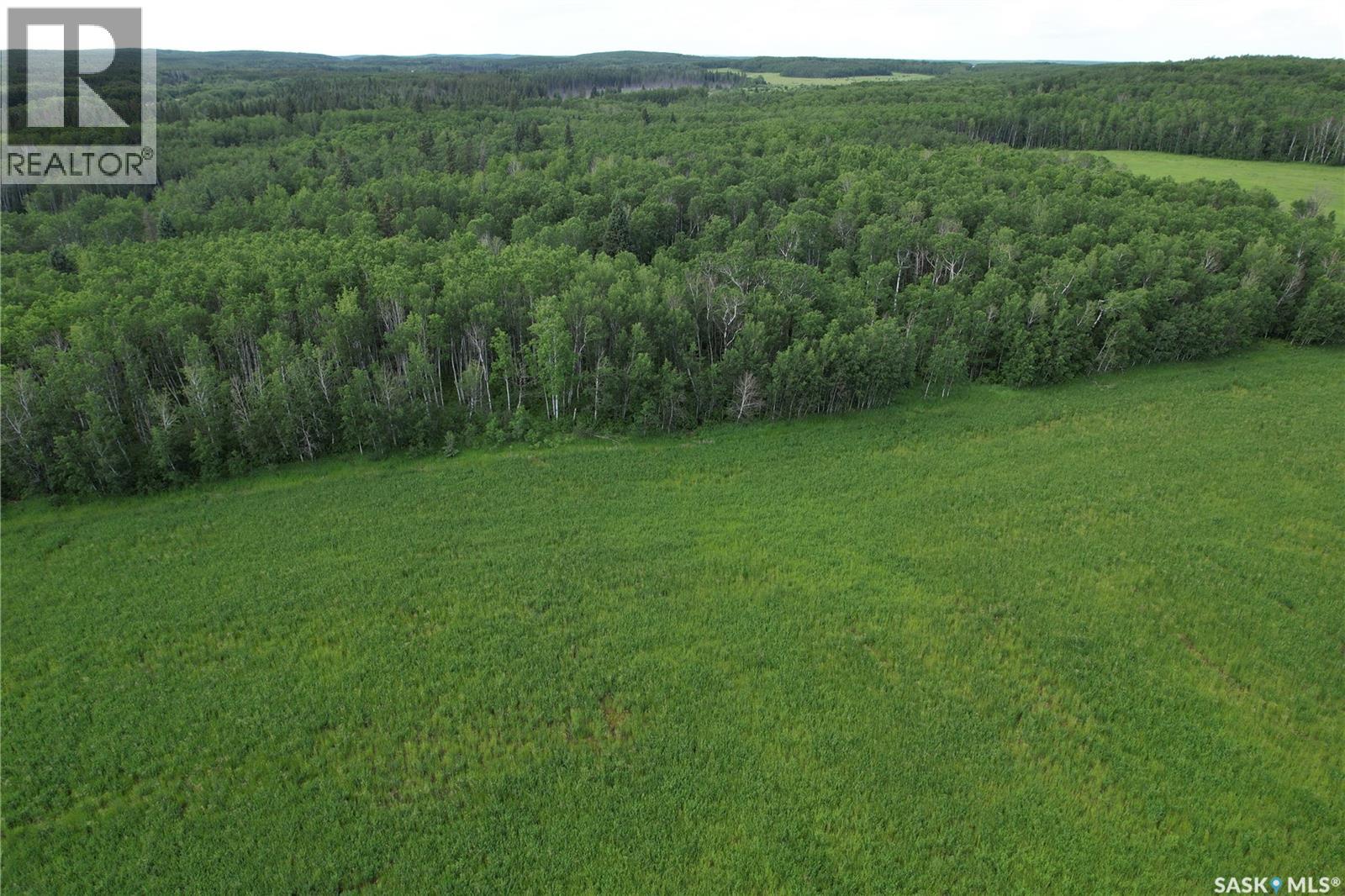 Canwood Rm Land, Canwood Rm No. 494, Saskatchewan  S0J 0K0 - Photo 18 - SK040493