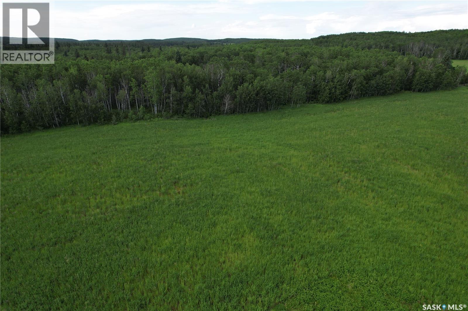 Canwood Rm Land, Canwood Rm No. 494, Saskatchewan  S0J 0K0 - Photo 19 - SK040493