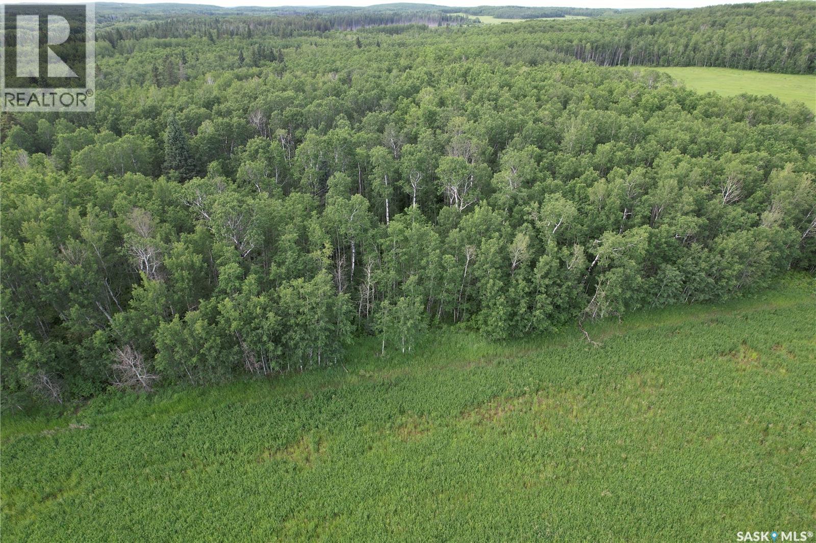 Canwood Rm Land, Canwood Rm No. 494, Saskatchewan  S0J 0K0 - Photo 20 - SK040493