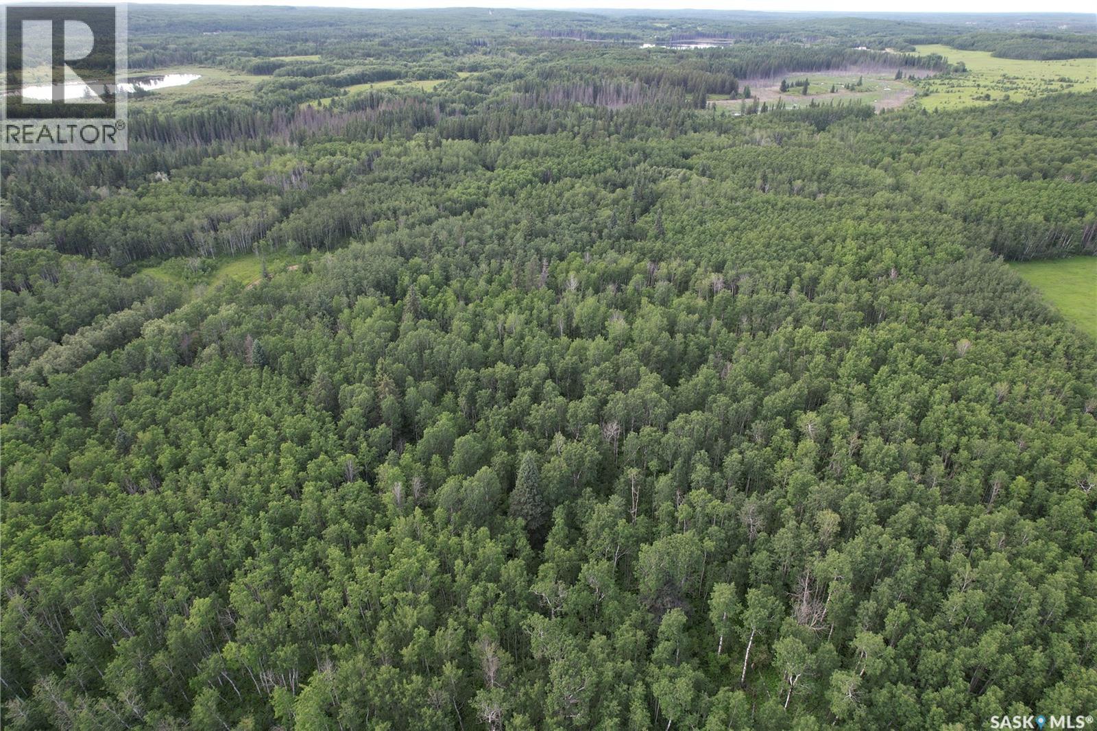 Canwood Rm Land, Canwood Rm No. 494, Saskatchewan  S0J 0K0 - Photo 21 - SK040493