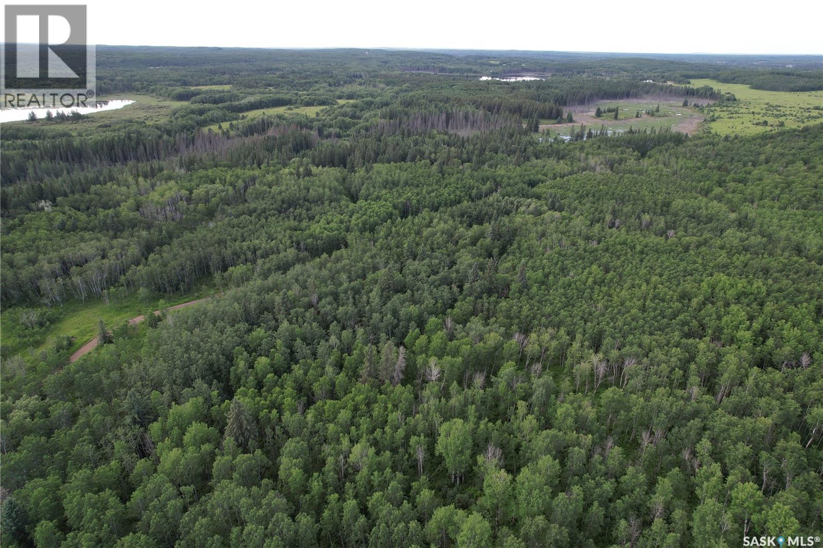 Canwood Rm Land, Canwood Rm No. 494, Saskatchewan  S0J 0K0 - Photo 22 - SK040493