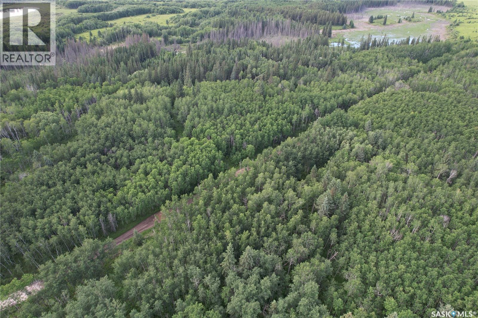 Canwood Rm Land, Canwood Rm No. 494, Saskatchewan  S0J 0K0 - Photo 23 - SK040493