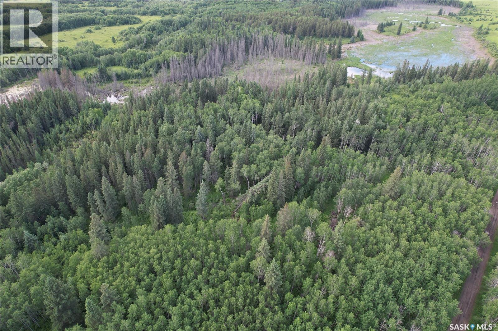 Canwood Rm Land, Canwood Rm No. 494, Saskatchewan  S0J 0K0 - Photo 24 - SK040493