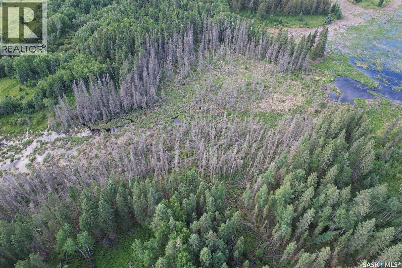 Canwood Rm Land, Canwood Rm No. 494, Saskatchewan  S0J 0K0 - Photo 25 - SK040493