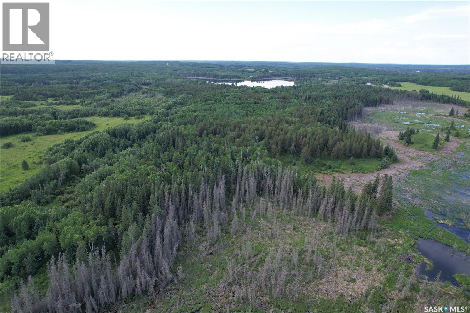 Canwood Rm Land, Canwood Rm No. 494, Saskatchewan  S0J 0K0 - Photo 26 - SK040493