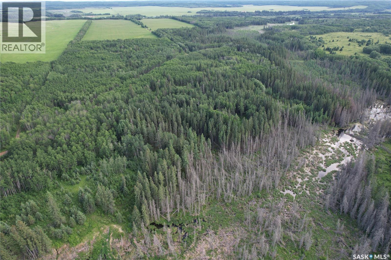 Canwood Rm Land, Canwood Rm No. 494, Saskatchewan  S0J 0K0 - Photo 4 - SK040493