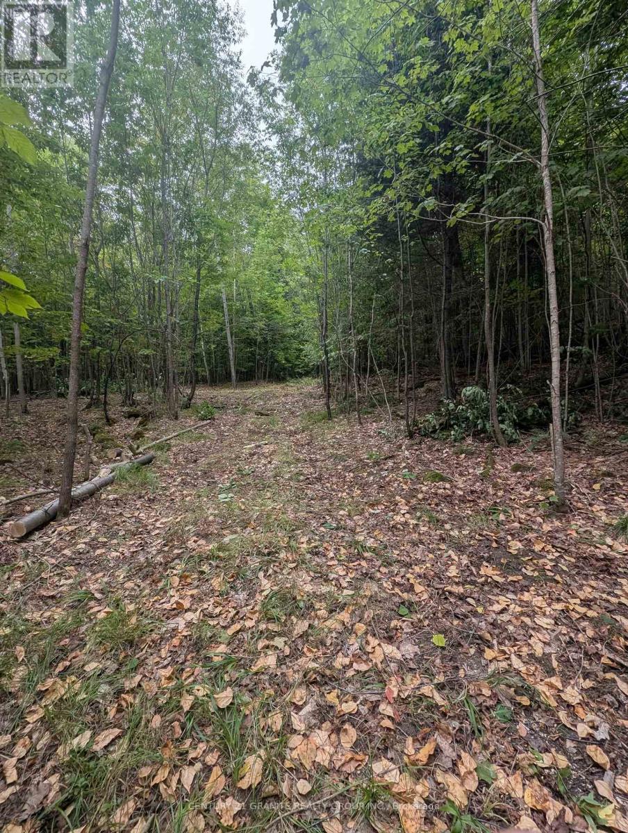 00 Kamaniskeg Lake Road, Hastings Highlands, Ontario  K0J 1L0 - Photo 2 - X12891178