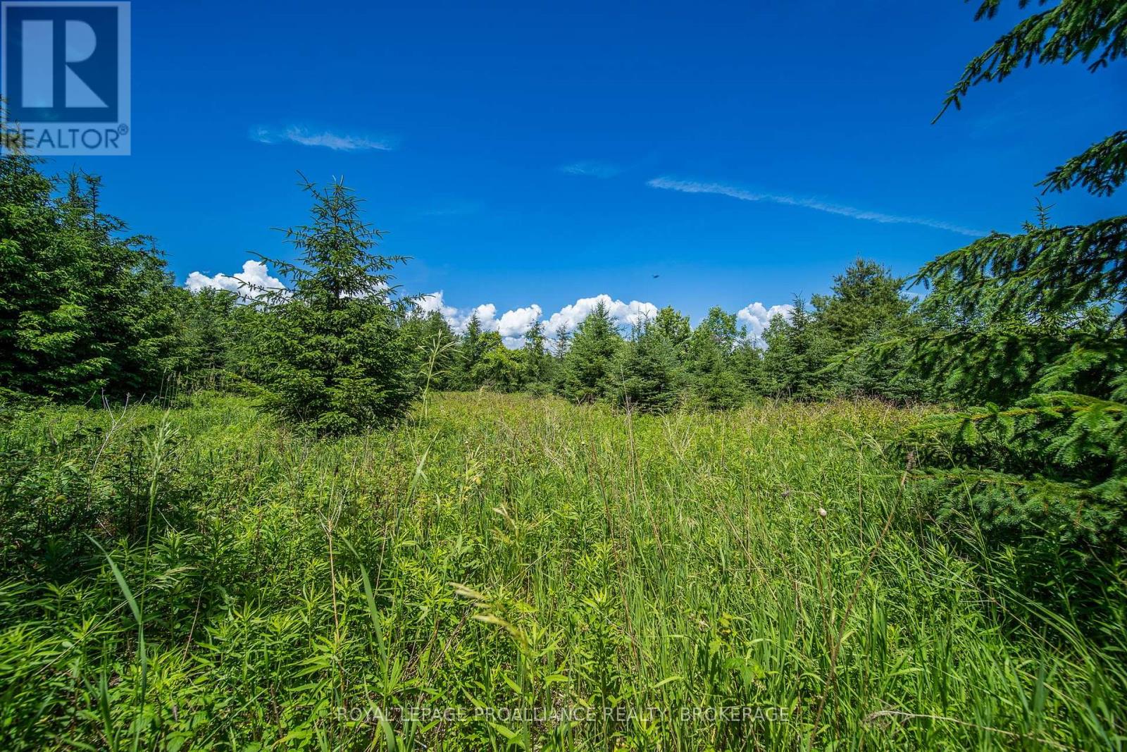 Pt Lt 18 Front Road, Loyalist, Ontario K0H 2S0 - Photo 10 - X13495240