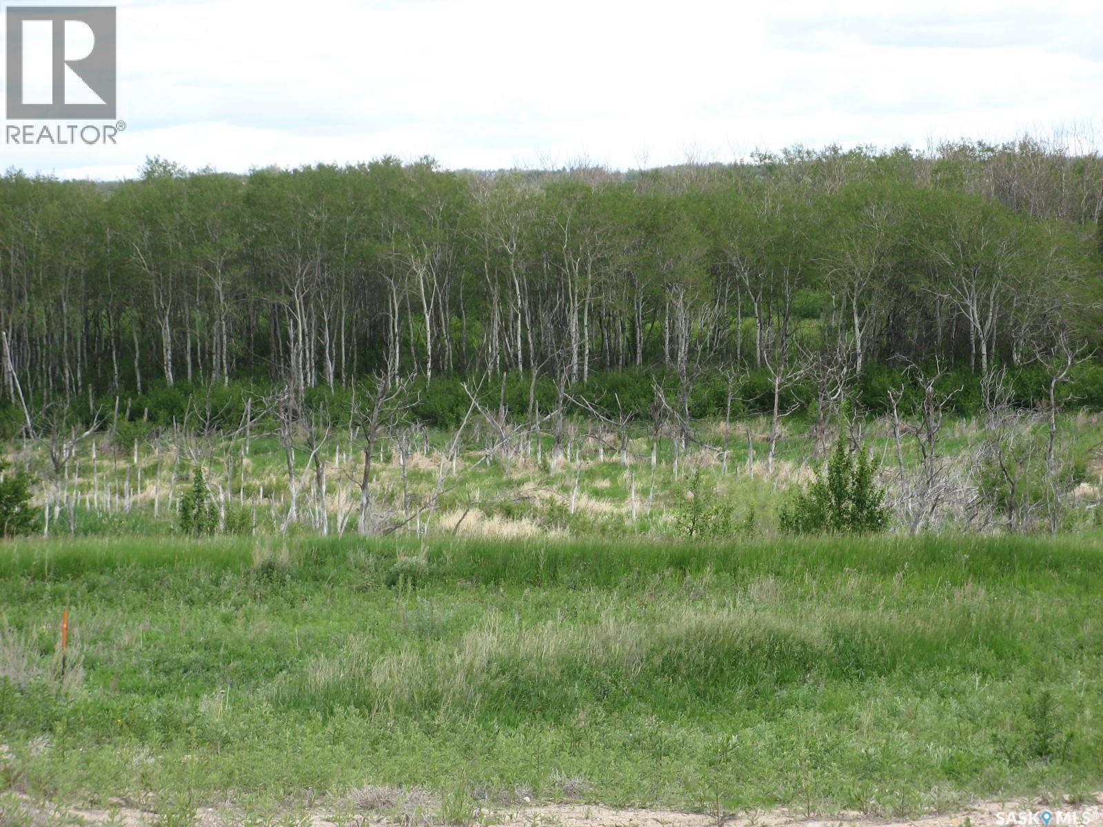 Eagle Heights Estates, Corman Park Rm No. 344, Saskatchewan  S7K 2L6 - Photo 13 - SK040446