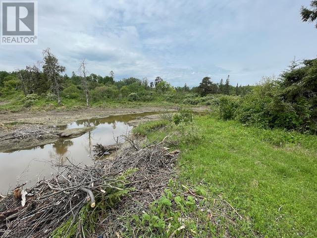588 Thiel Rd, Dryden, Ontario  P8N 3G2 - Photo 30 - TB2601567