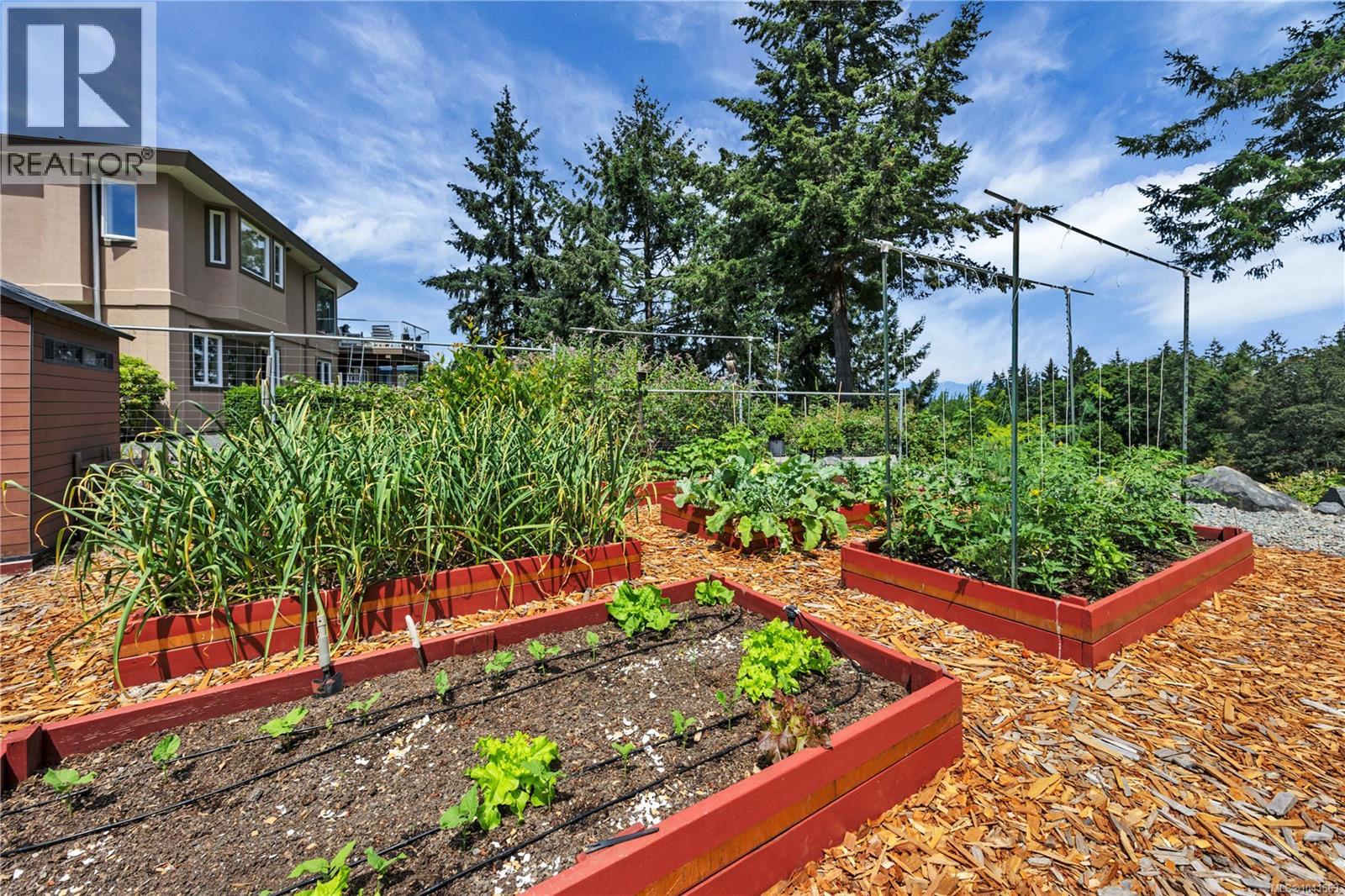 Listing image 81