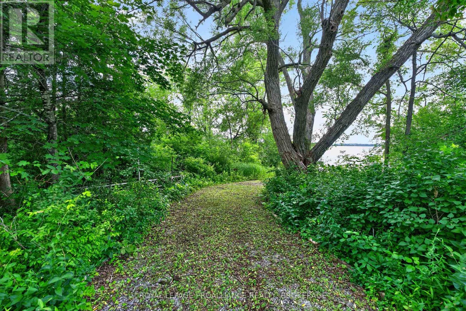 1482 Jarvis Road, Kingston, Ontario  K7L 4V3 - Photo 11 - X13495918