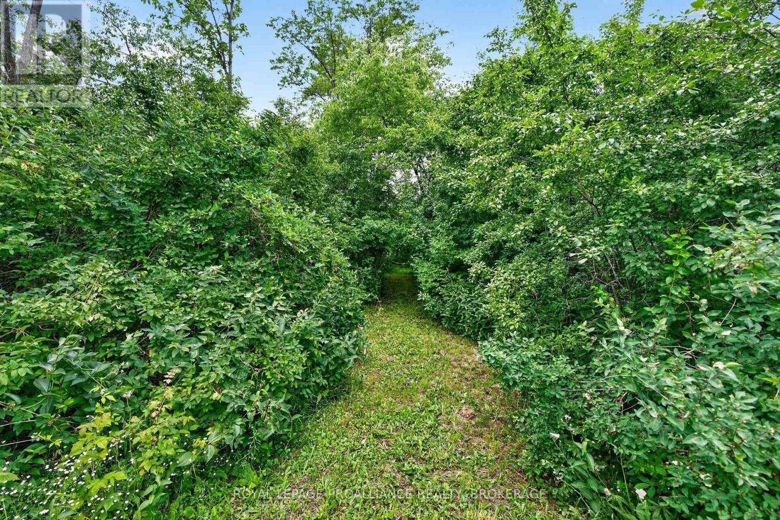 Pt Lt 5 Jarvis Road, Kingston, Ontario K7L 4V3 - Photo 3 - X13495940